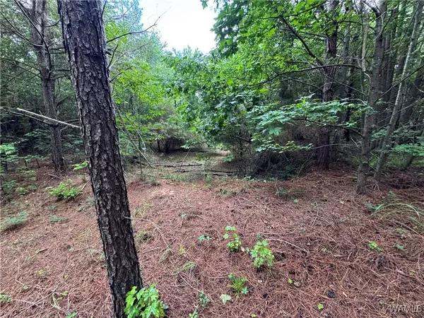 1 Highway 159, Fayette, AL 35555