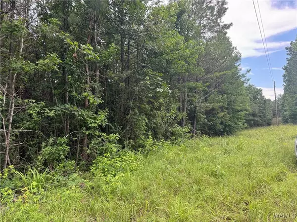 1 Highway 159, Fayette, AL 35555