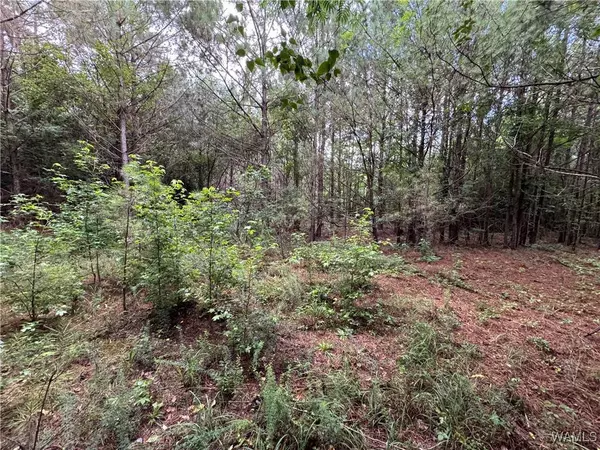 1 Highway 159, Fayette, AL 35555