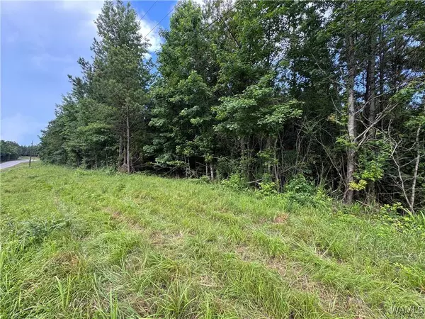 1 Highway 159, Fayette, AL 35555