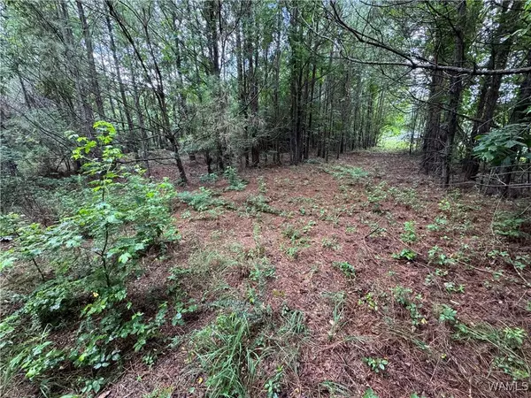 1 Highway 159, Fayette, AL 35555