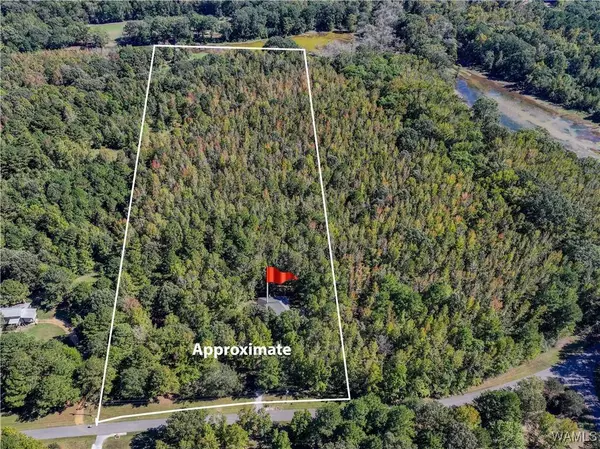 15986 Riverbend Ln, Moundville, AL 35474