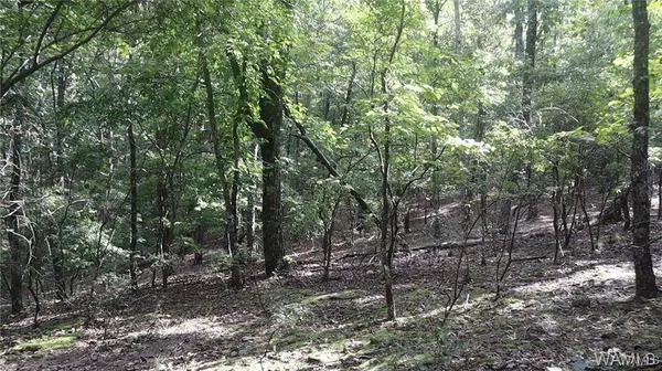 000 Oak Ridge RD, Fayette, AL 35555