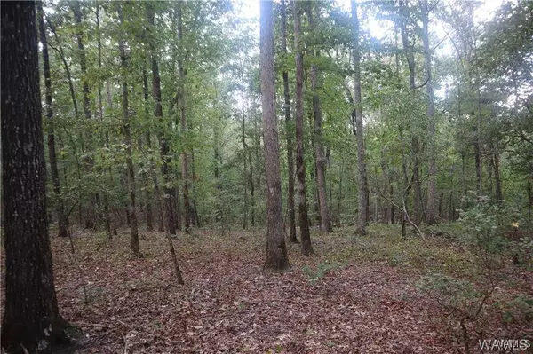 000 Oak Ridge RD, Fayette, AL 35555