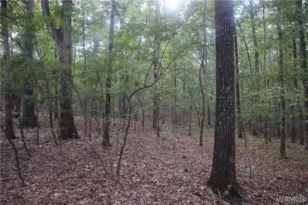 000 Oak Ridge RD, Fayette, AL 35555