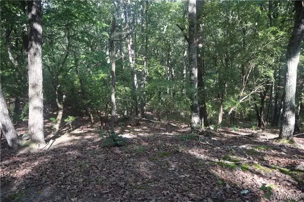 000 Oak Ridge RD, Fayette, AL 35555