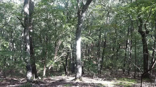 000 Oak Ridge RD, Fayette, AL 35555