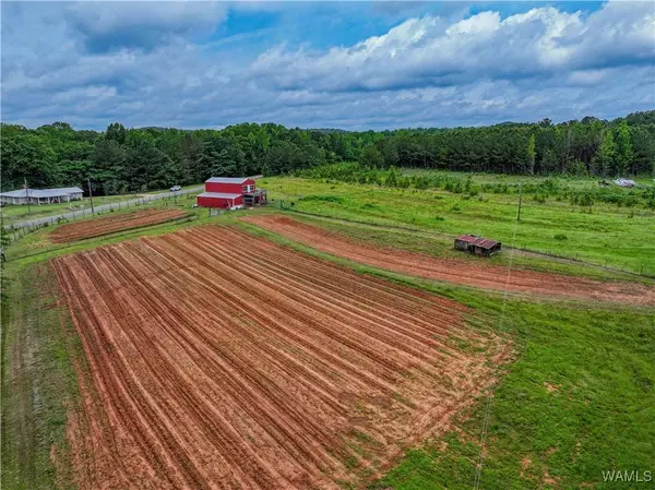 531 County Rd 125, Berry, AL 35546