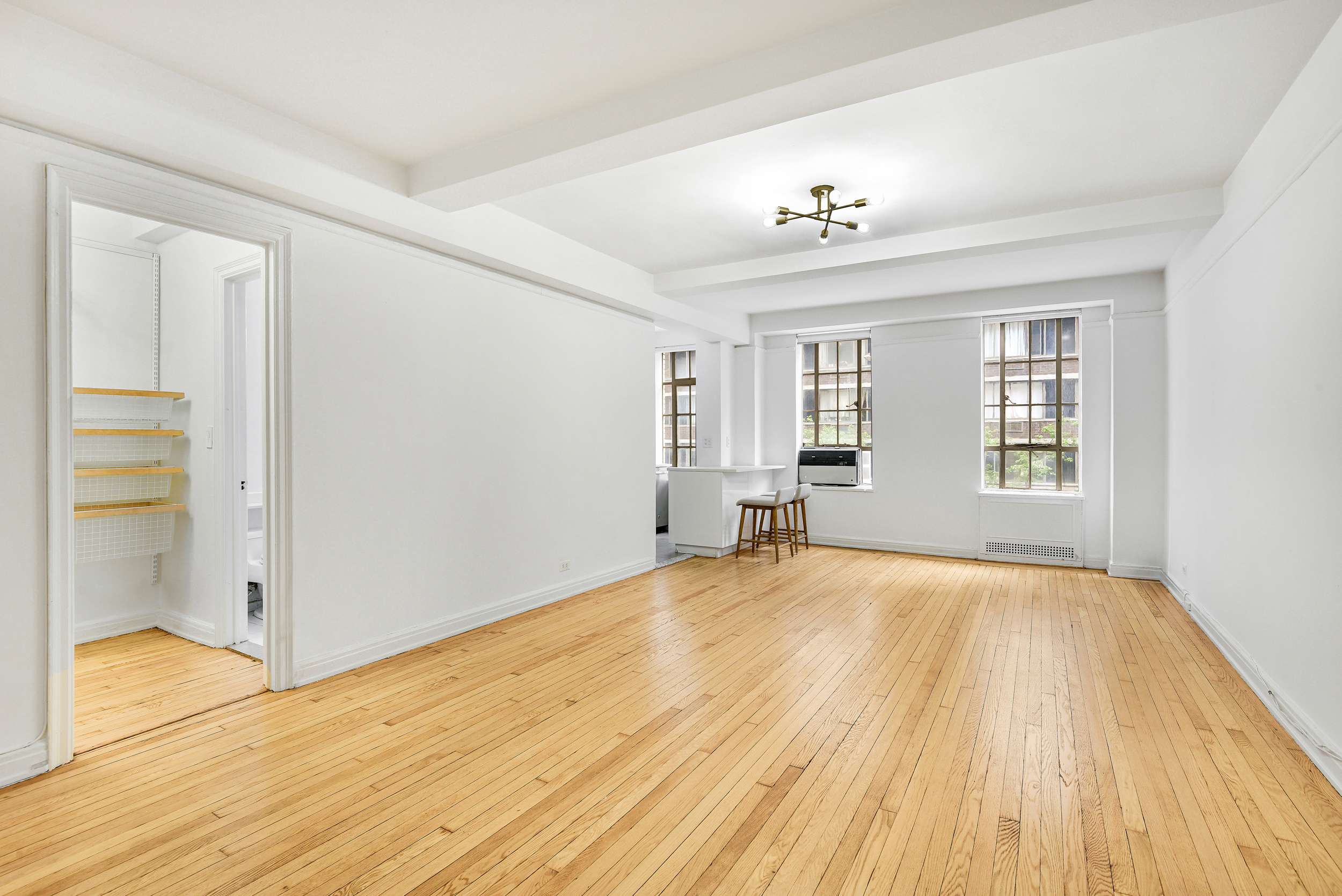 333 West 56th Street 3H Clinton New York NY 10019