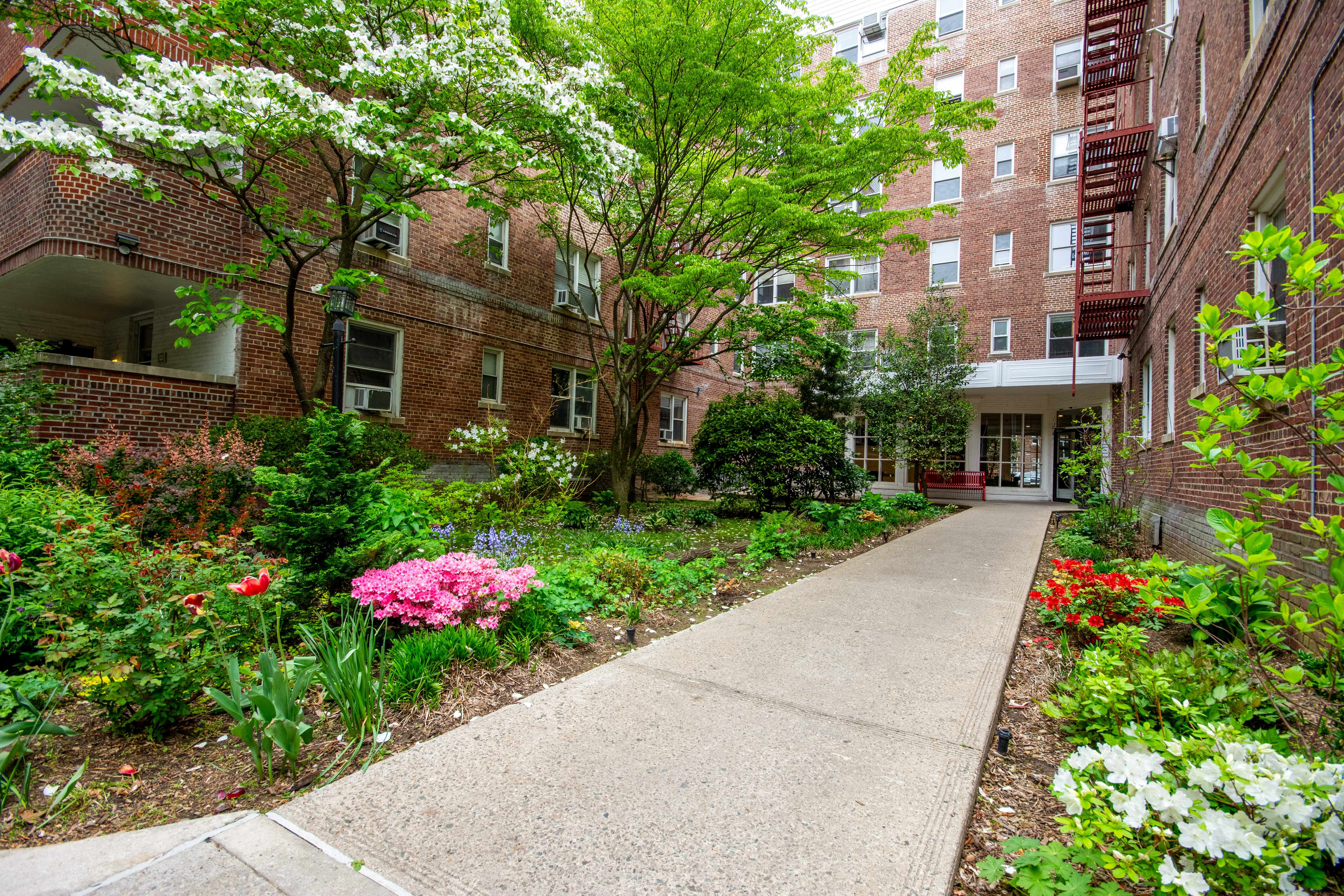 915 East 17th Street 207 Midwood Brooklyn NY 11230