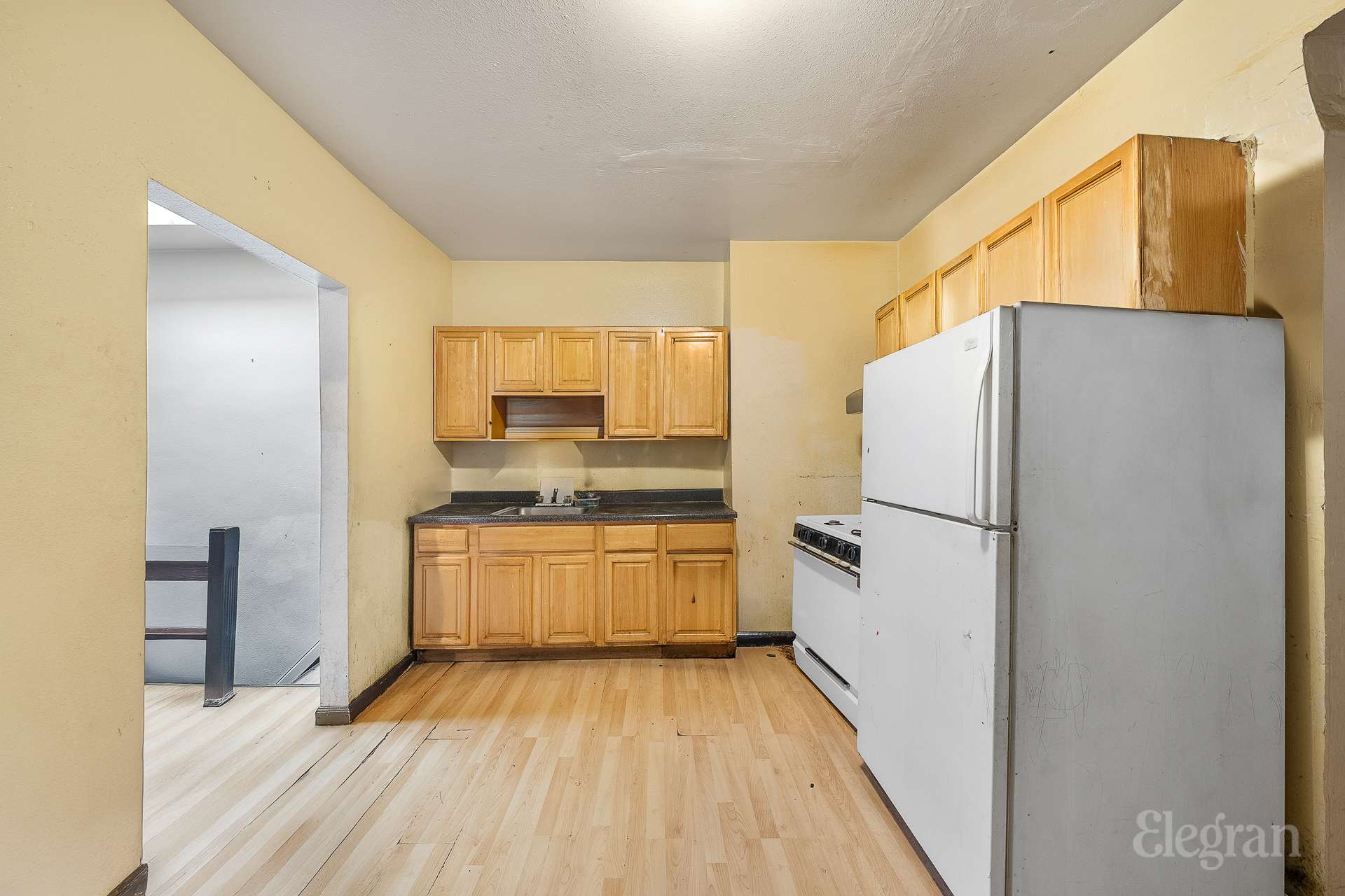 159 Wyona Street Cypress Hills Brooklyn NY 11207