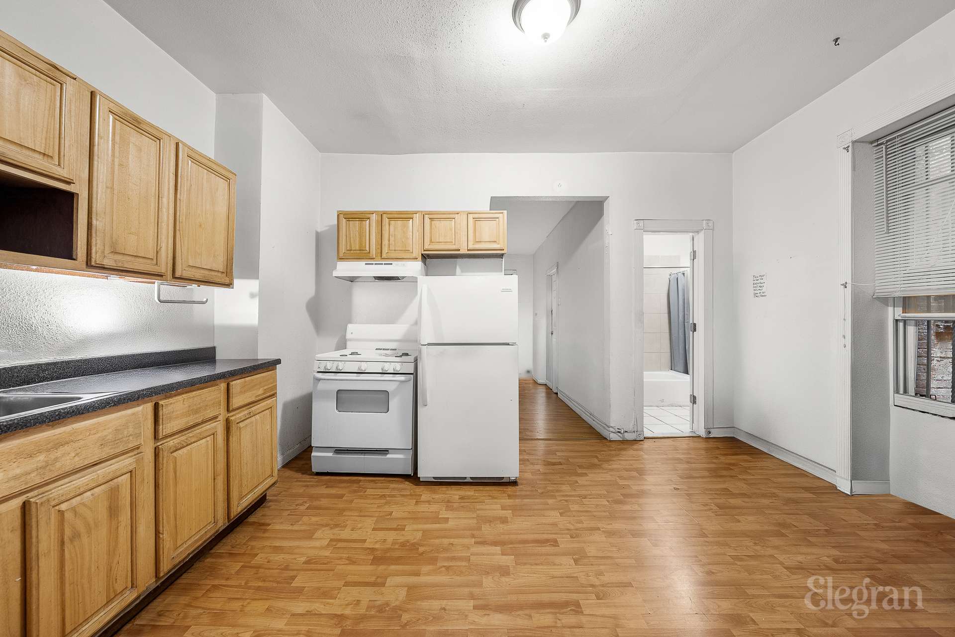 159 Wyona Street Cypress Hills Brooklyn NY 11207