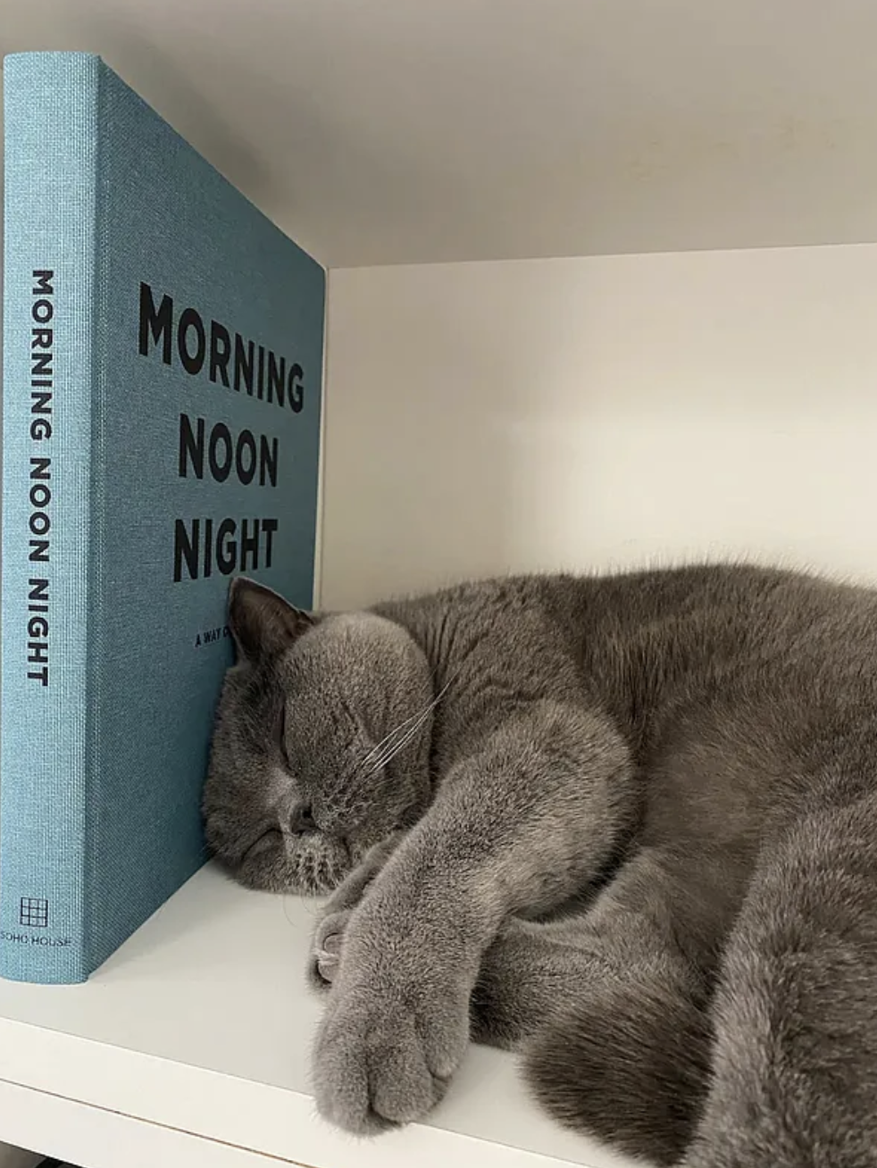 202 Bergen Street Boerum Hill Brooklyn NY 11217