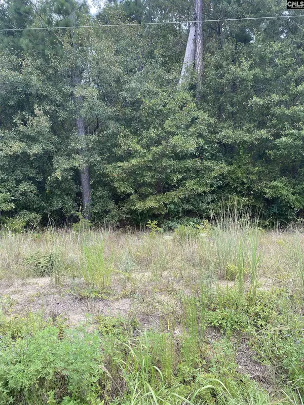 5465 Dubose Siding Rd, Sumter, SC 29153