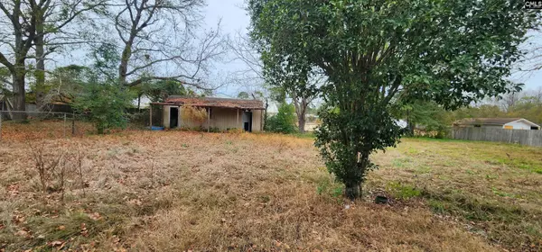 113 Grace Street Street, Lexington, SC 29072