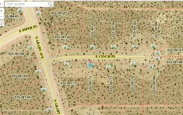 1541 E Cinch PL, Pahrump, NV 89060