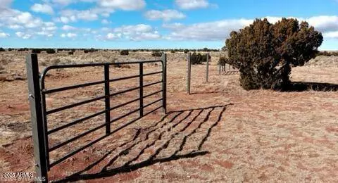 3169 E JUDY Drive #212, Williams, AZ 86046