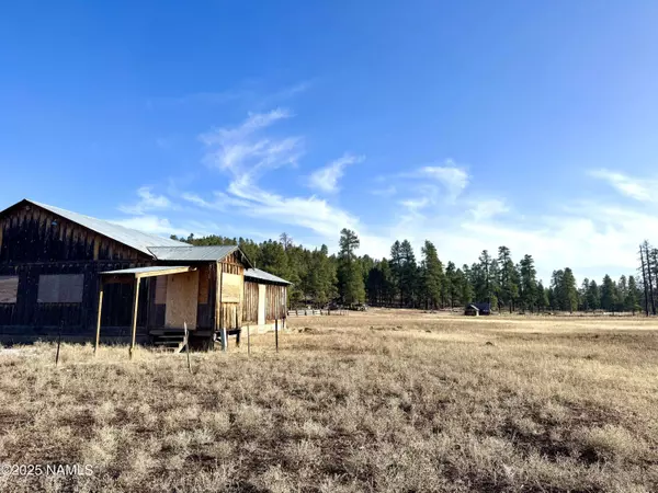 12405 Forest Service 772, Flagstaff, AZ 86005