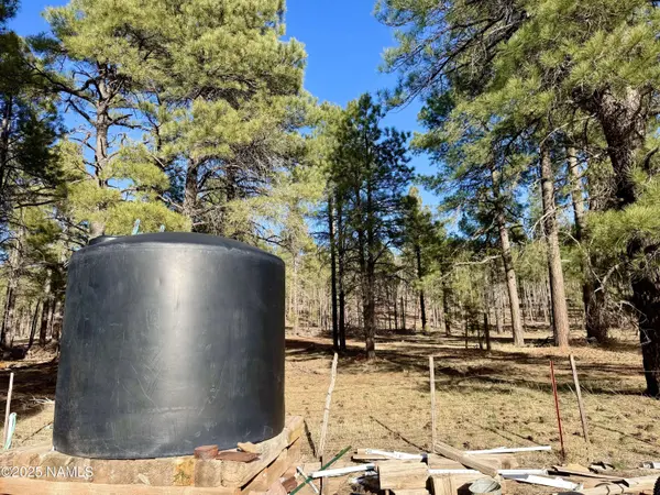 12405 Forest Service 772, Flagstaff, AZ 86005