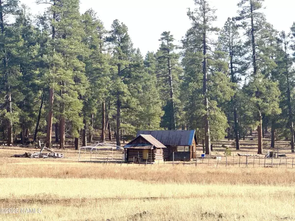 12405 Forest Service 772, Flagstaff, AZ 86005