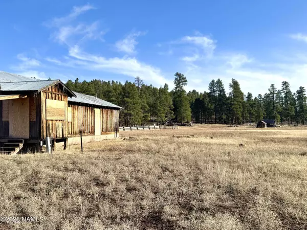 12405 Forest Service 772, Flagstaff, AZ 86005