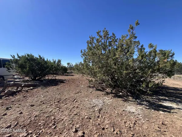 613 E Mountain Cat Road, Williams, AZ 86046