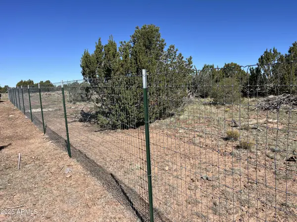 613 MOUNTAIN CAT Road, Williams, AZ 86046