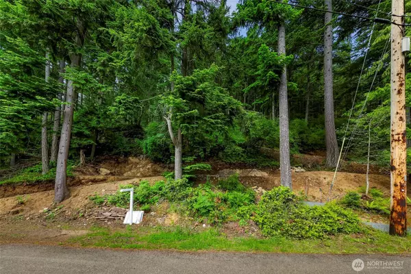 3071 Hales Passage DR, Lummi Island, WA 98262