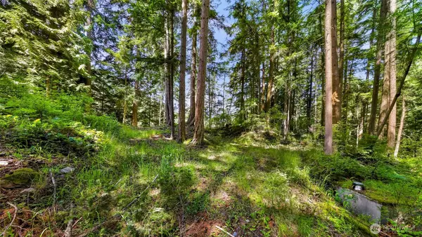 2940 Rosewood TER, Lummi Island, WA 98262