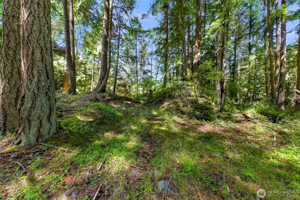 2940 Rosewood TER, Lummi Island, WA 98262