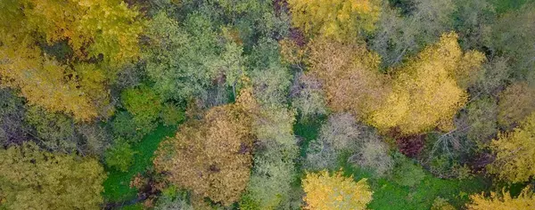 Why is Buying in Bellingham the Smart Move?