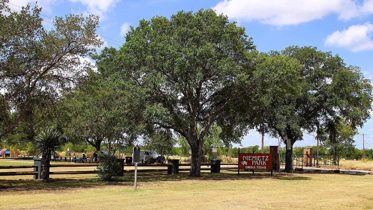 Oak trees at the entrance to Niemietz Park in Cibolo, Texas