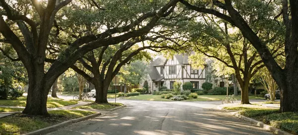 alamo-heights-residential-street-mature-oak-trees