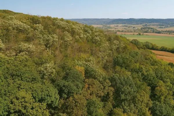 6.69 Acres River Road, Clayton, WI 54655