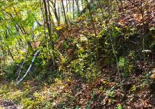 6.69 Acres River Road, Clayton, WI 54655