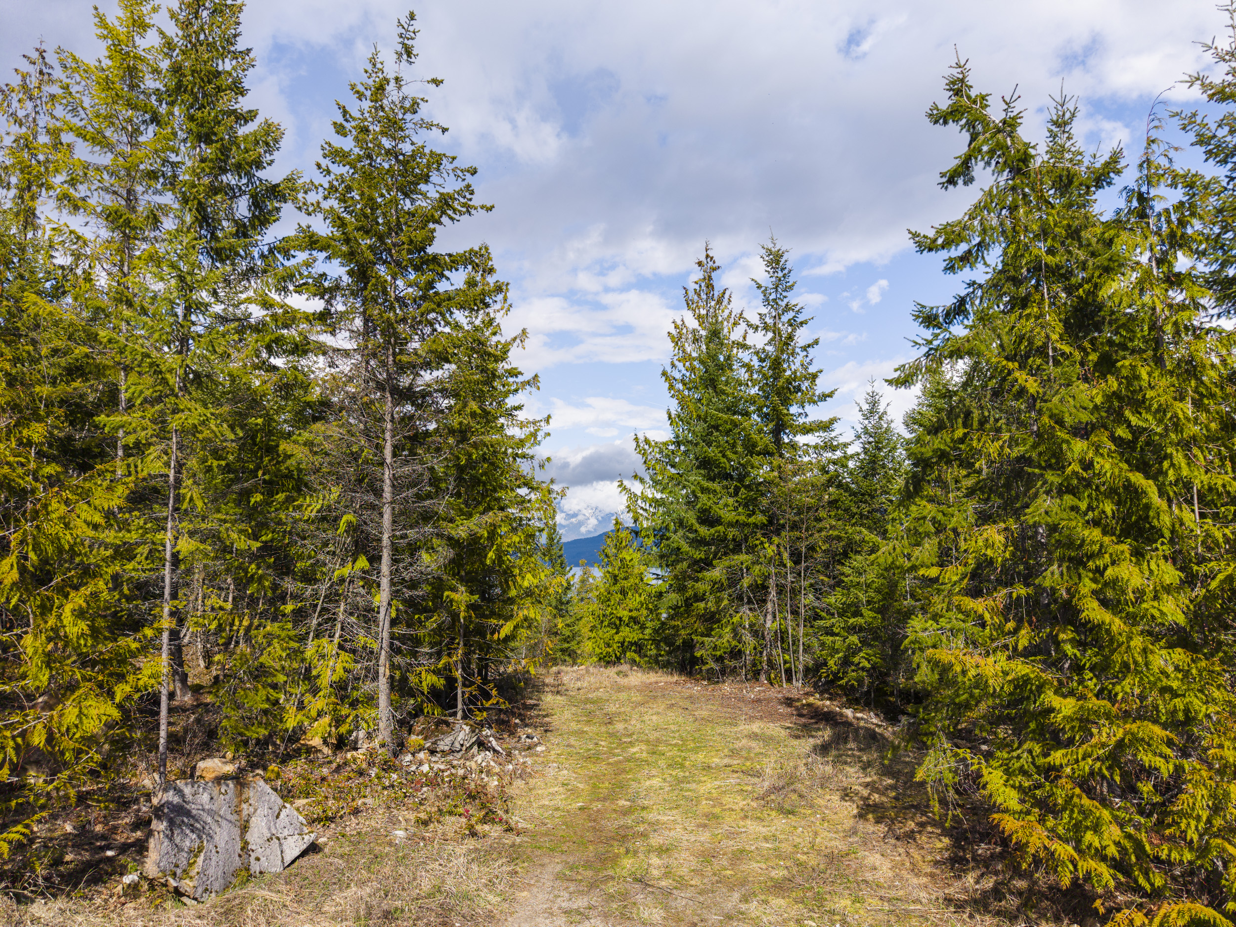 Cleared building site on a forested lakeview lot in Procter BC with mountain views beyond
