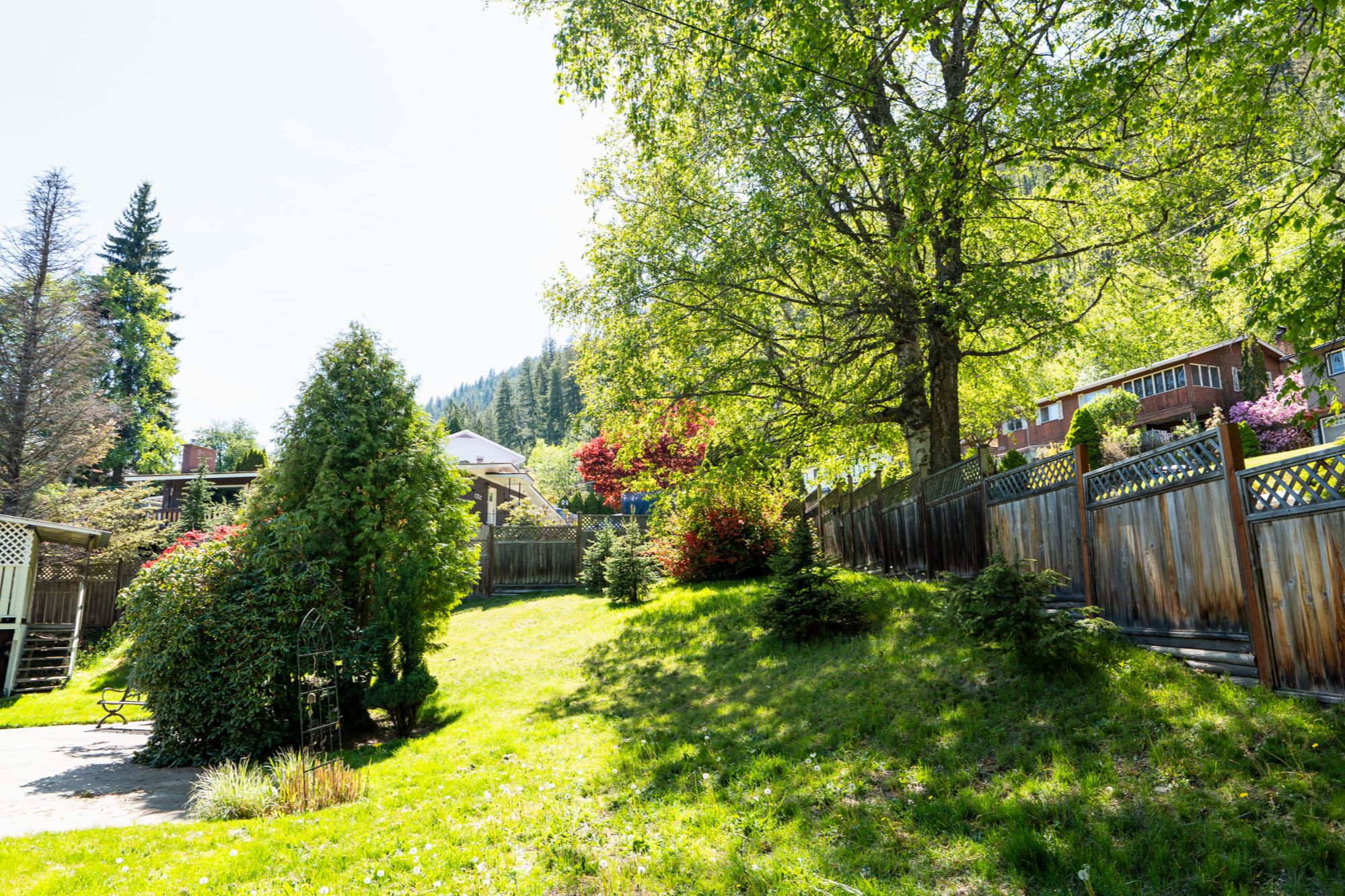 Fully fenced backyard at 1845 Ridgewood Road in North Shore Nelson with mature trees, green lawn, mountain backdrop, and private outdoor space.