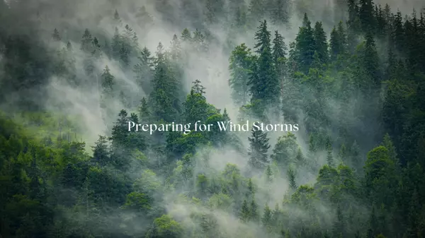 Wind Storms in Our Area: How to Prepare Your Home Before the Next Big Blow