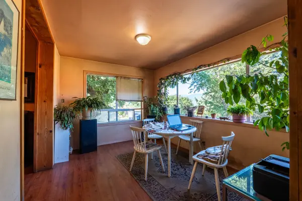 Bright dining area in a Nelson BC home with large windows, indoor plants, a round table with chairs, and views of mature trees outside.