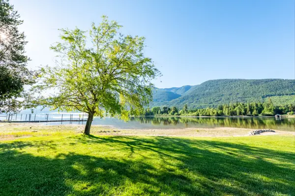 Lush green lawn with a tree casting shadows near a sandy beach, calm lake, and forested mountains under a bright blue sky