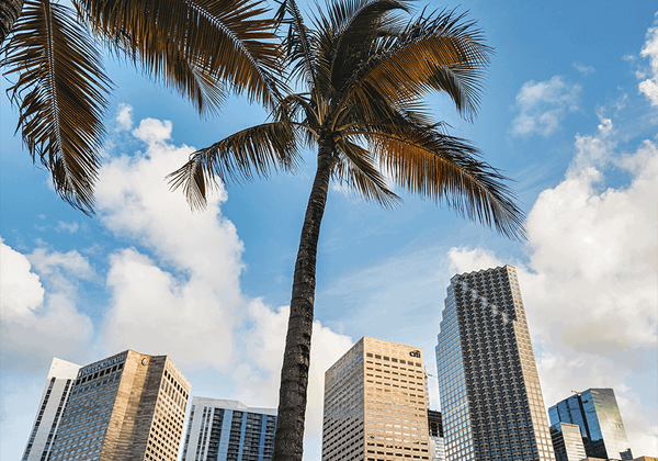 Summer Planning: Why June is the decisive month for families targeting "The Roads" and Coral Gables