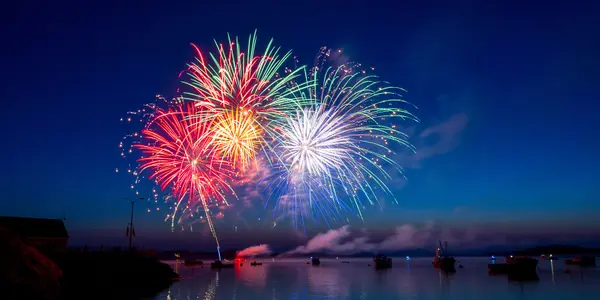 Fireworks and Furry Friends at Richland Chambers Lake,Julie Teel