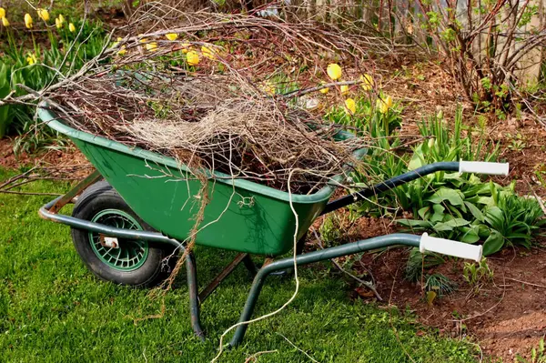 feature image of Show your yard some love....