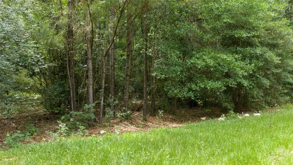 TBD Drew Lane, Conroe, TX 77304
