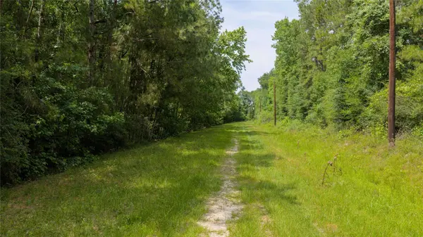 TBD Drew Lane, Conroe, TX 77304