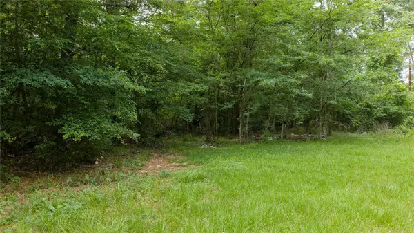TBD Drew Lane, Conroe, TX 77304