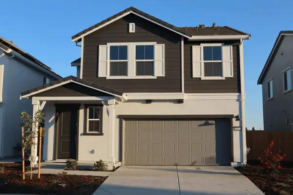Central Valley California Santy Phillips (9)