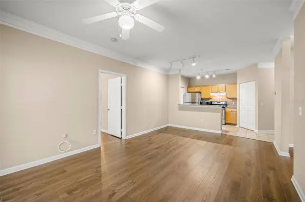 4207 S DALE MABRY HWY #4305, Tampa, FL 33611