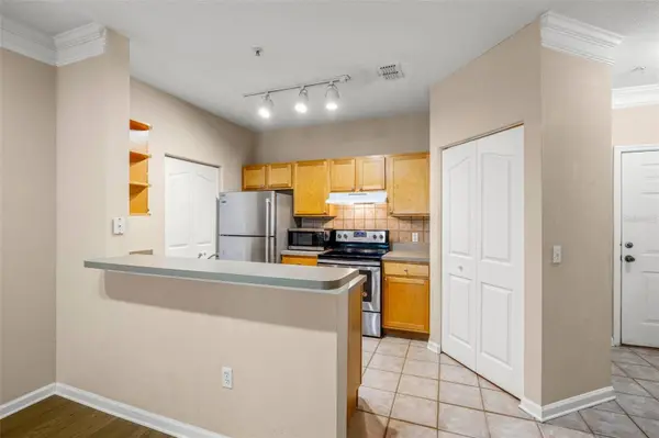 4207 S DALE MABRY HWY #4305, Tampa, FL 33611