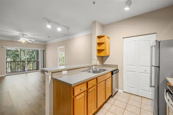 4207 S DALE MABRY HWY #4305, Tampa, FL 33611